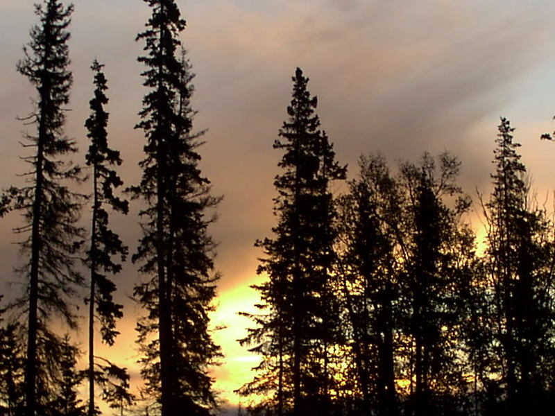 Nikiski, AK morning in Nikiski off my porch photo, picture, image