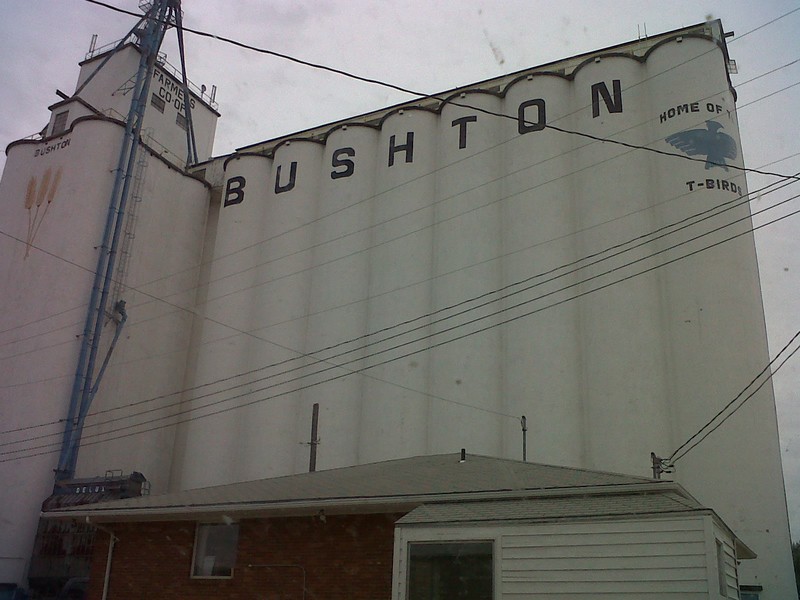 Bushton, KS: bushton coop