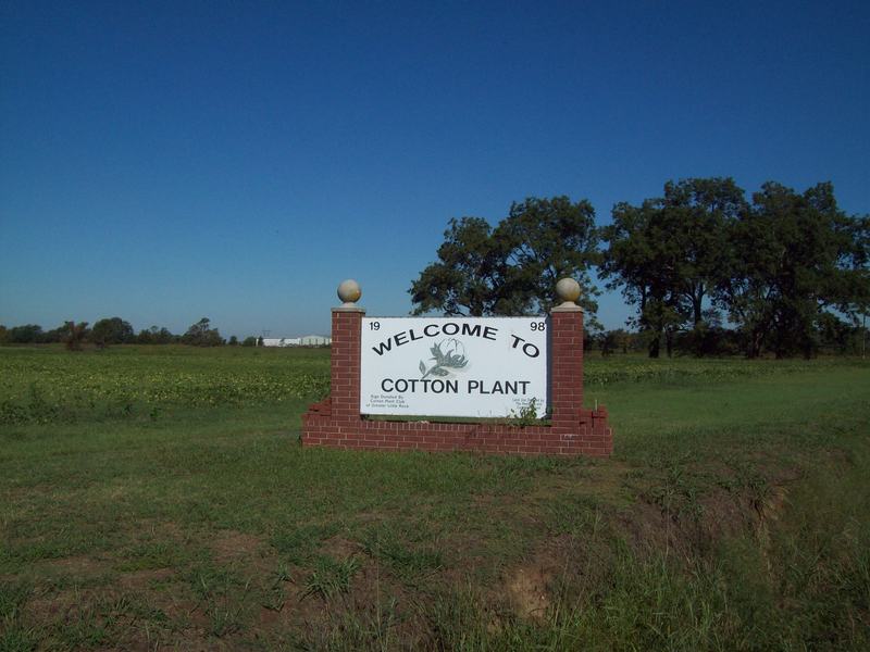 Cotton Plant, AR: Cotton Plant is a small town but Welcome All