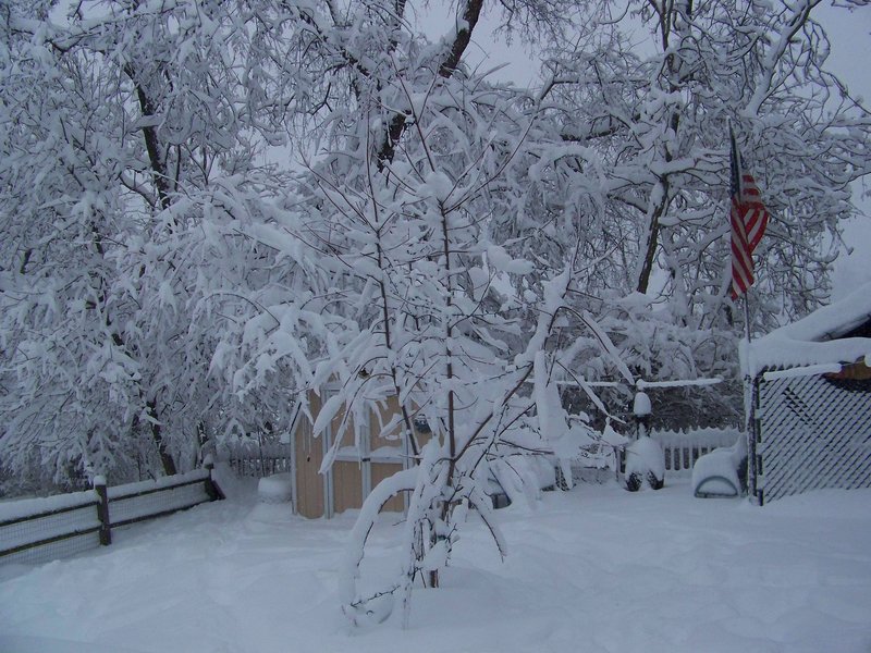 Carnegie, PA: winter wonderland