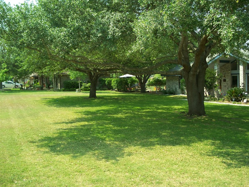 China Grove, TX: China Grove, Peace and Tranquility.