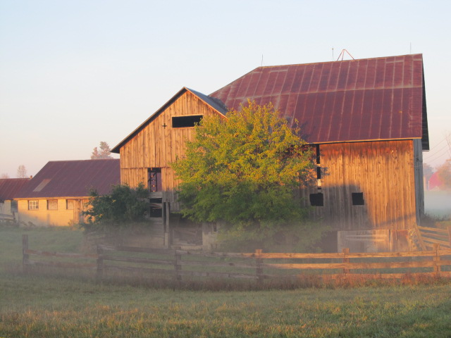 Gladwin, MI: 100 YEARS OLD