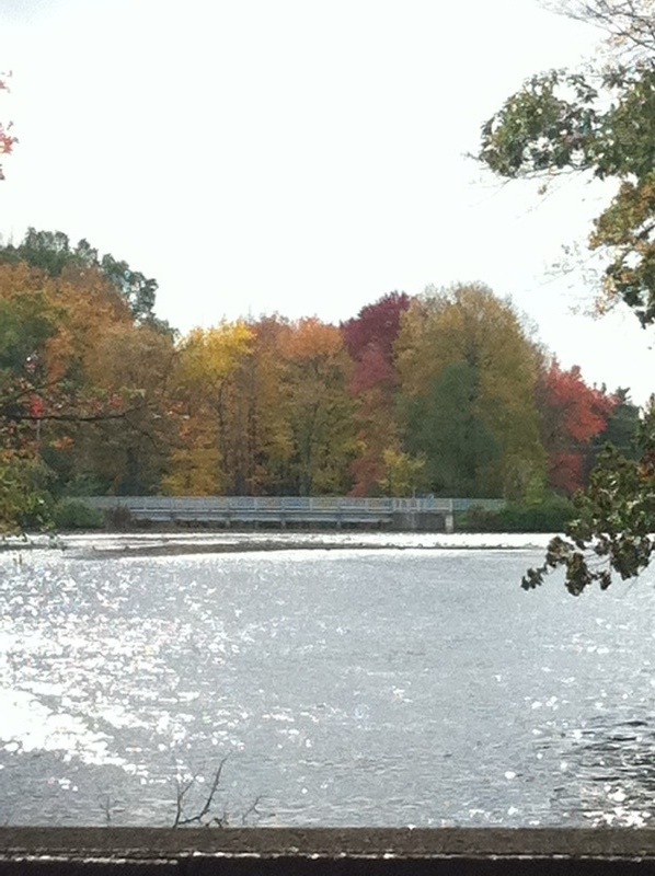 South Hadley, MA: The lake