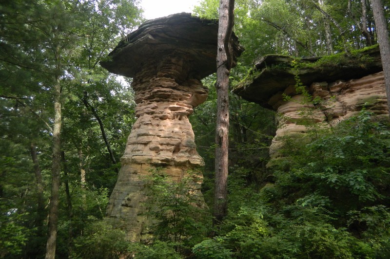 Wisconsin Dells, WI: The tree rock