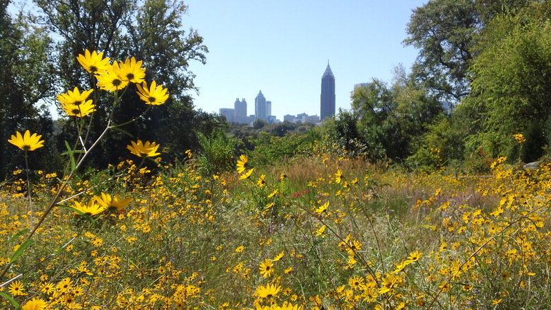 Atlanta, GA: Downtown Atlanta from Garden