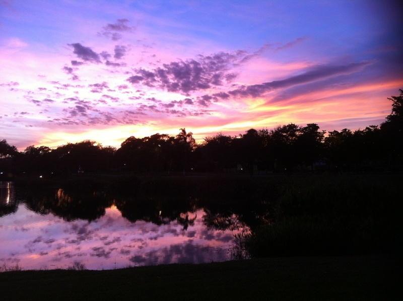 Plantation, FL: Sunset over lake in Plantation, FL