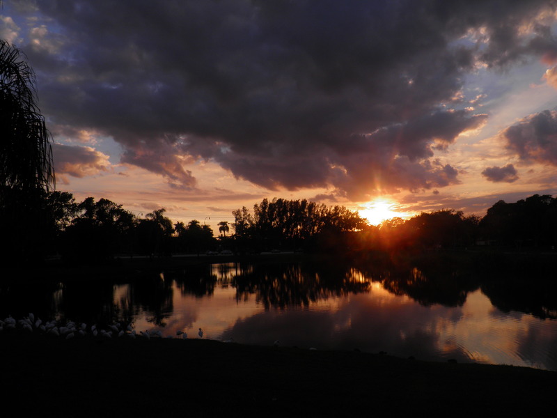 Plantation, FL: Sunset after the storm in Plantation, FL