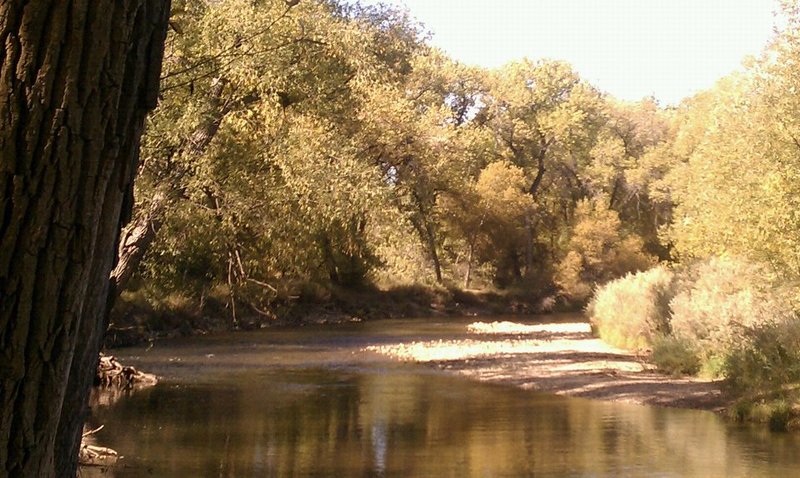 Fort Collins, CO: poudre river in town in the fall