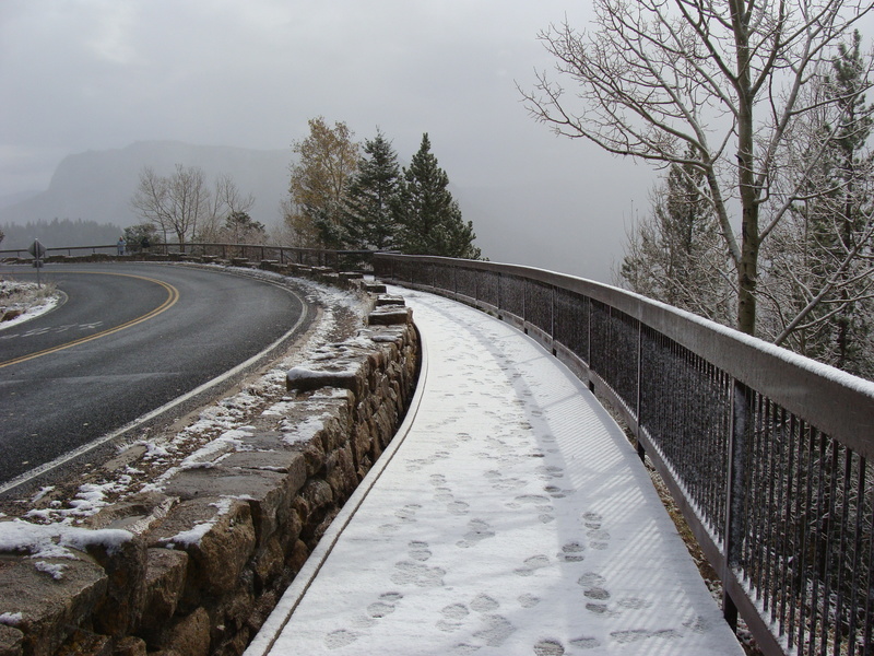 Estes Park, CO: Many Parks Curve along Trail Ridge Road