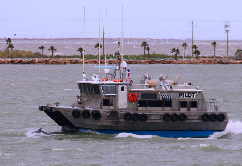 Galveston, TX: Galveston harbor pilot boat