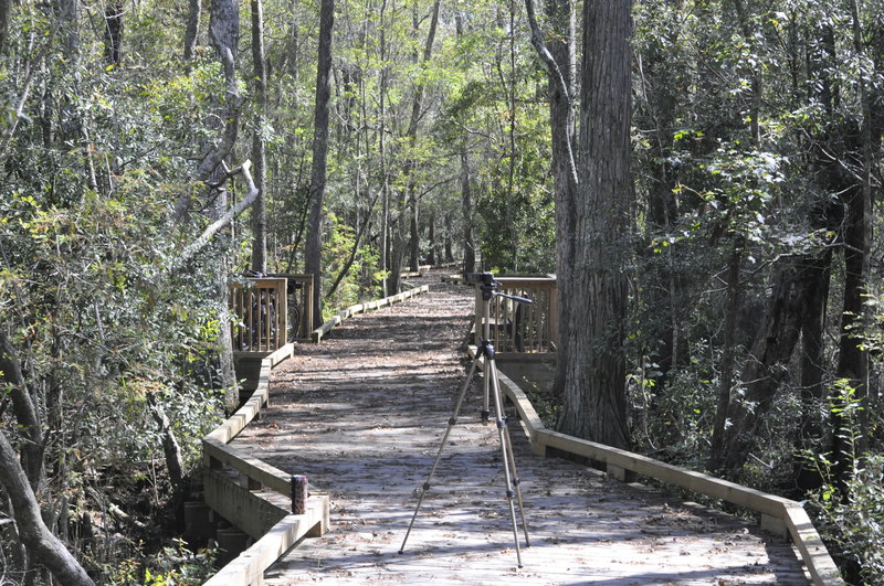 Conway, SC: NEW TRAIL OPENING IN CONWAY