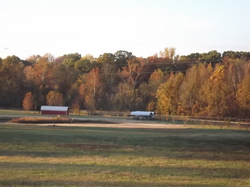 Atoka, TN: pretty fall pasture near portersville road