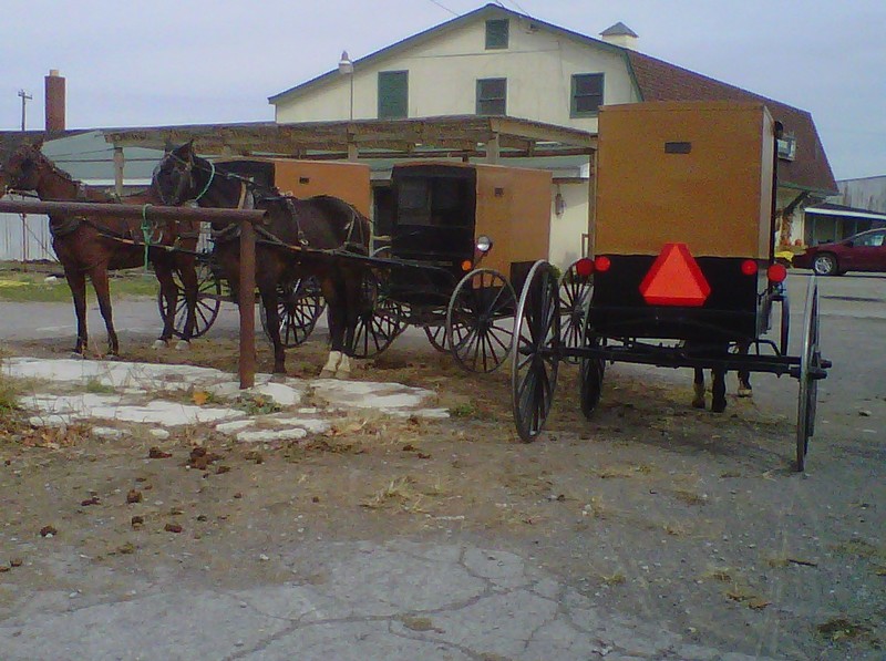 New Wilmington, PA Amish buggys in New Wilmington, PA photo, picture