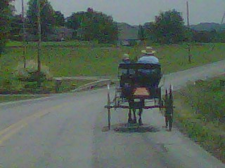 New Wilmington, PA: Amish in New Wilmington, PA