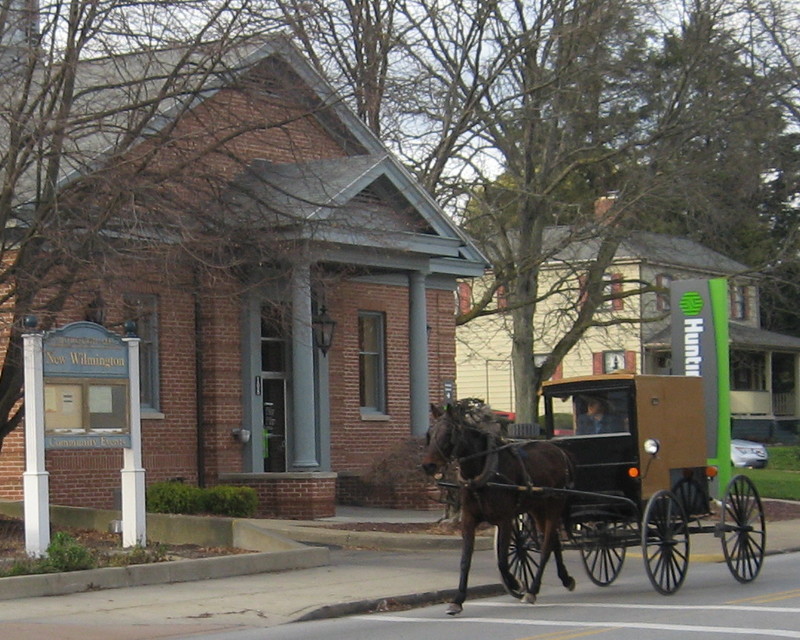 New Wilmington, PA: Amish buggy in New Wilmington, PA