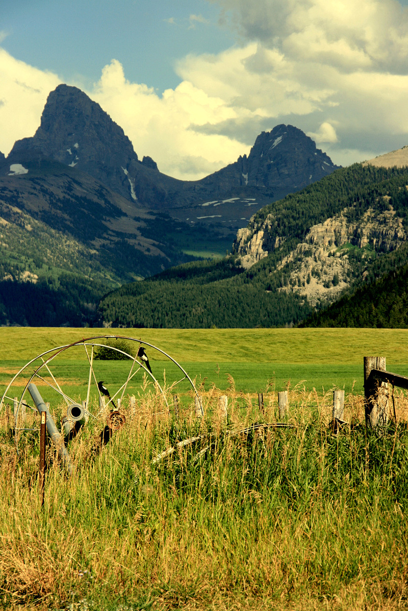 Driggs, ID View of Tetons from Stateline Road, Driggs, ID photo