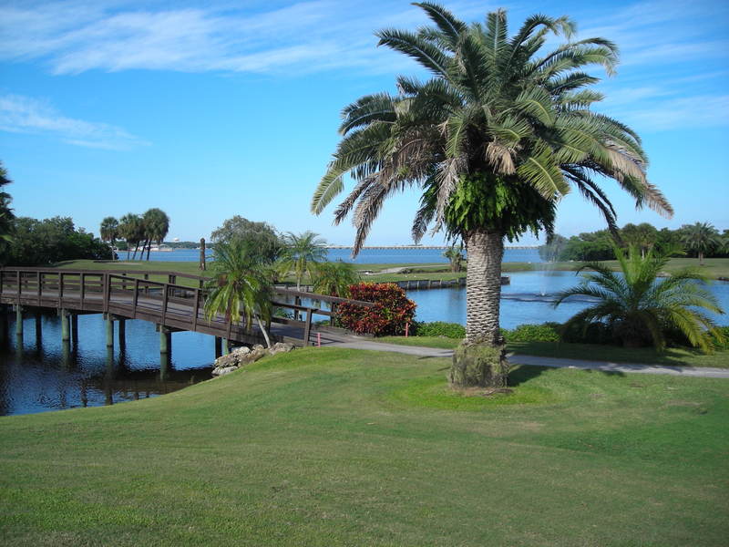 Clearwater, FL: Cove Cay golf couse with the view of Tampa Bay
