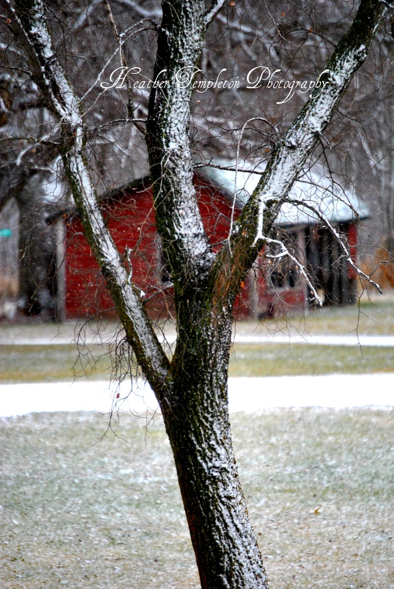Detroit Lakes, MN: A snowy day !