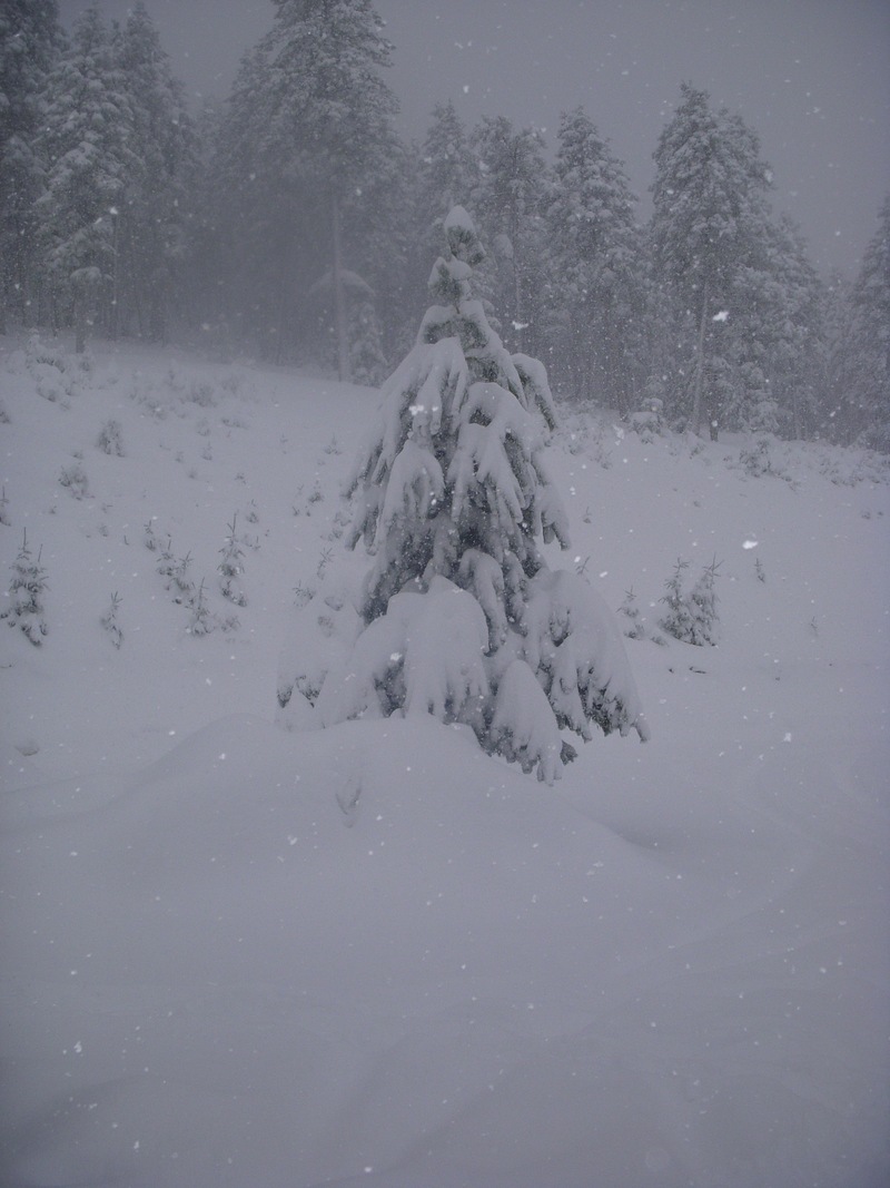 Genesee, CO: Spring snow storm