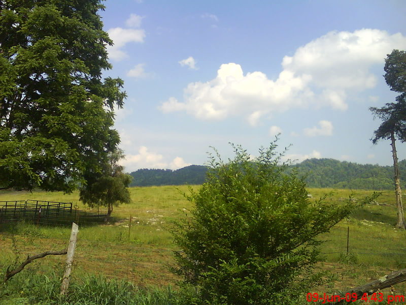 New Tazewell, TN: Backyard beauty&#9829;