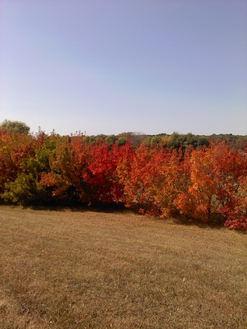 Verdigre, NE: Beautiful Autumn