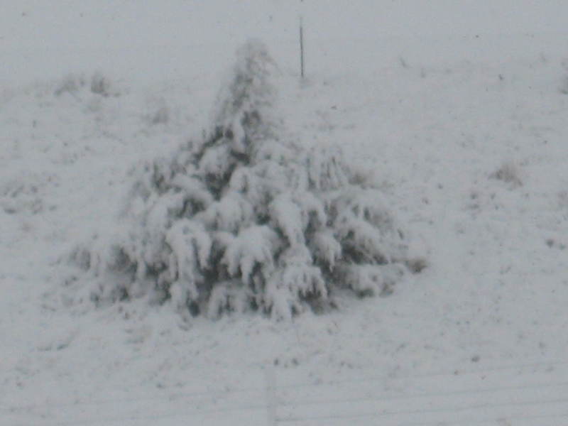 Sidney, NE: October Snow