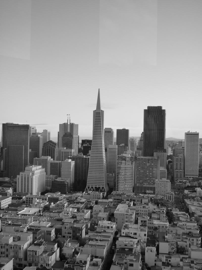 San Francisco, CA: Transamerica Building from the Coit Tower, San Francisco, CA