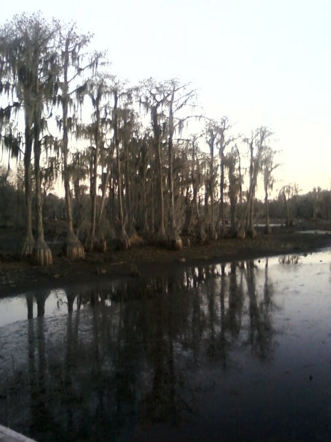 Lakeland, GA: Banks Lake 1/1/2012