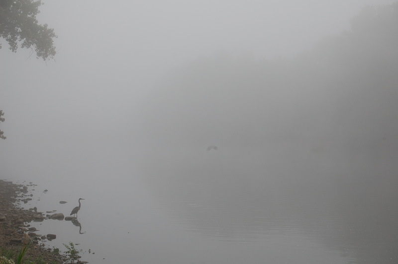 Montgomery, IL: Foggy morning on the banks of the Fox River. Montgomery, IL