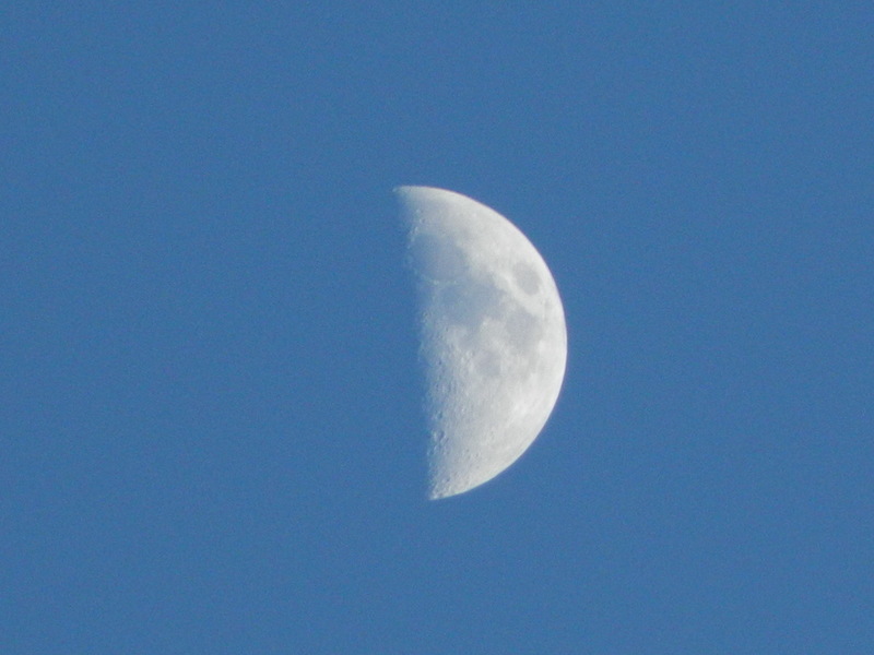 Waxahachie, TX: Moon over Waxahachie