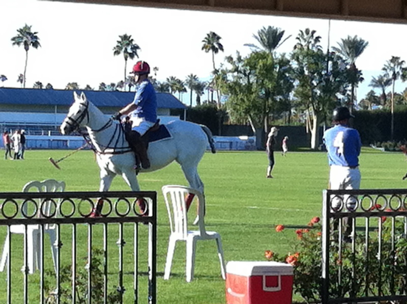 Indio, CA: Indio Polo Grounds with rider on white horse
