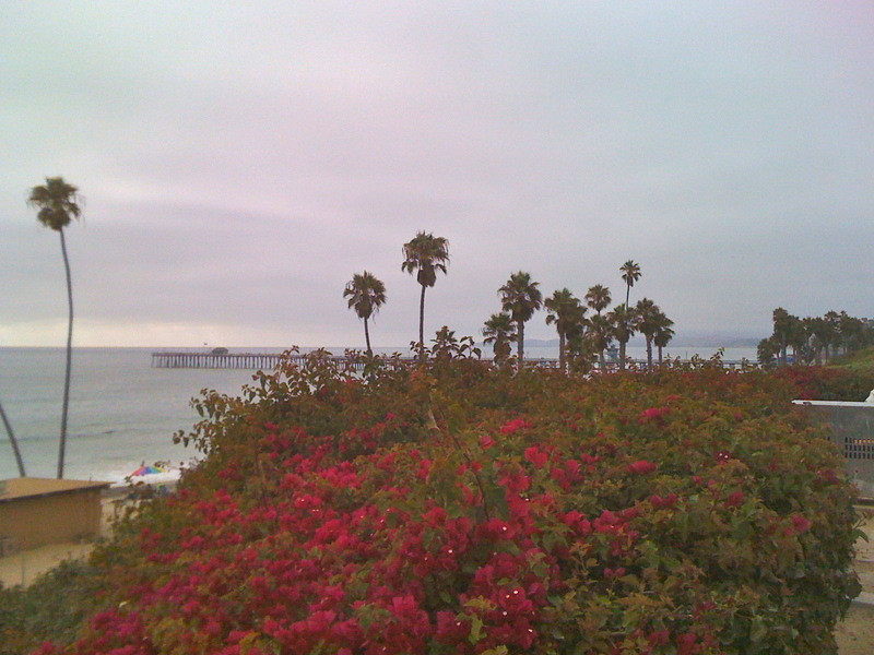 San Clemente, CA: San Clemente Above the Beach
