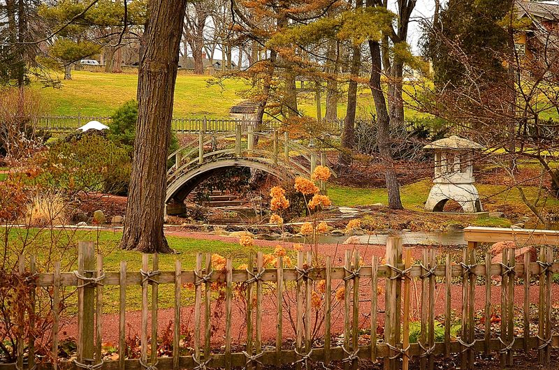 Geneva, IL: Japanese Tea Garden at Fabyan's Park