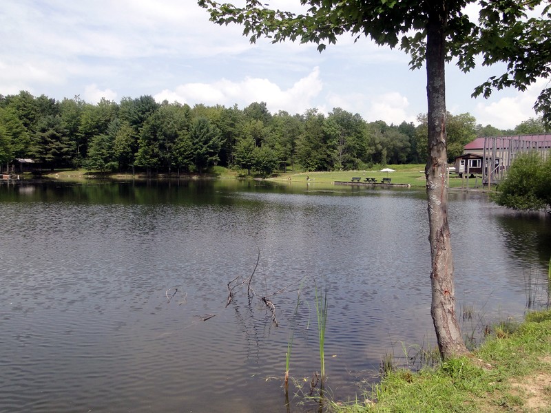 Canadohta Lake, PA: Timberland