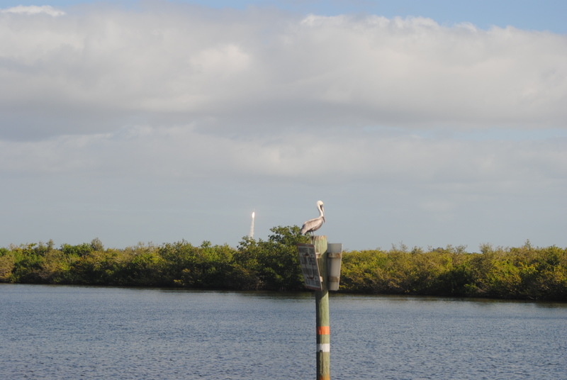 Merritt Island, FL: View from Sykes Creek