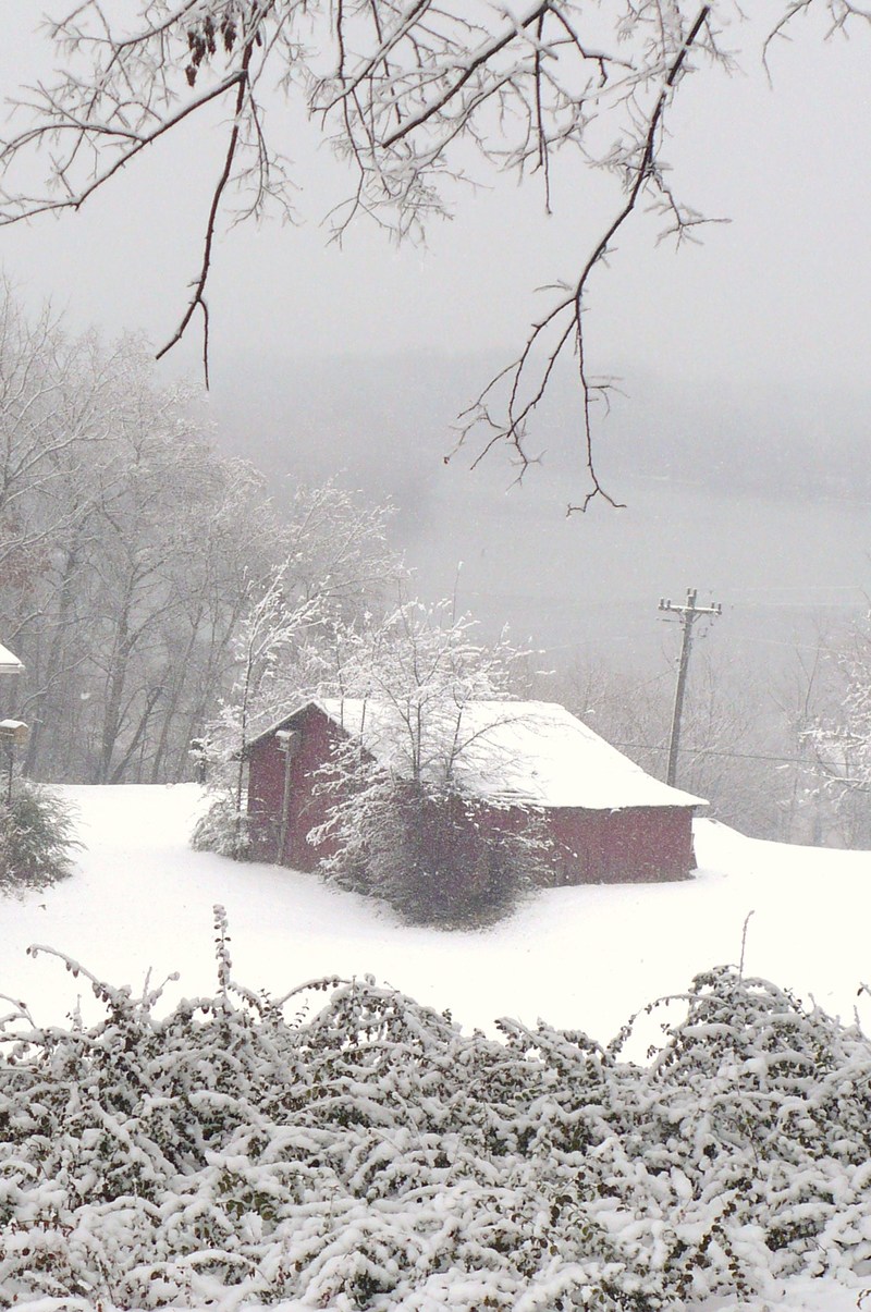 Cumberland City, TN: Scenic Snowfall
