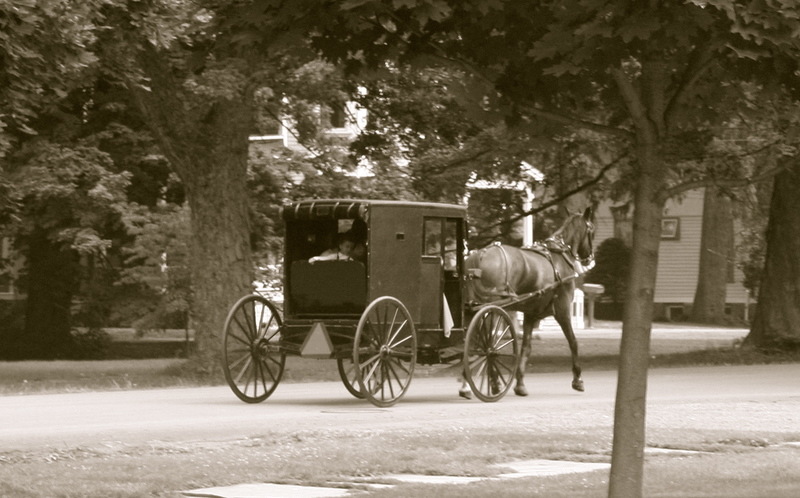 Dundee, NY: Mennonites traveling down Seneca Street, Dundee, NY
