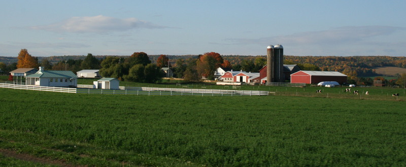 Dundee, NY: Mennonite farm and school just outside of Dundee, NY