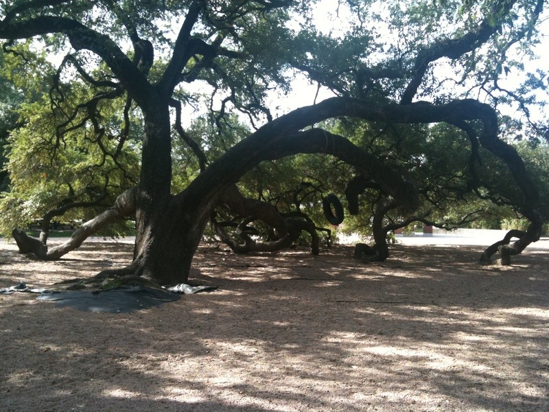 Houston, TX: Magnificent Oaks at Elizabeth Baldwin Park