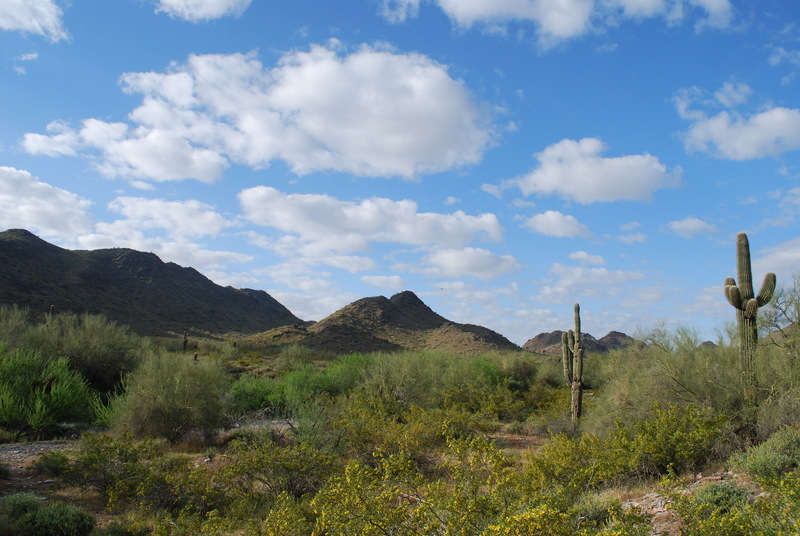 Phoenix, AZ: One of the Phoenix mountains in North Phoenix