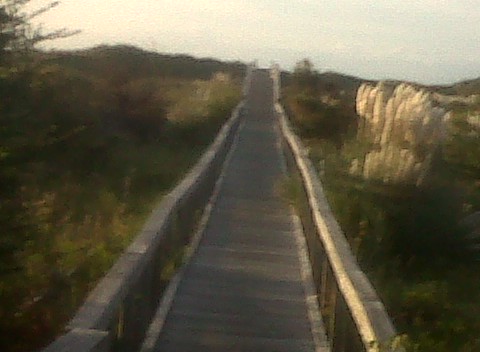 Sunset Beach, NC: 40th walkway across the dunes to the sand and surf!