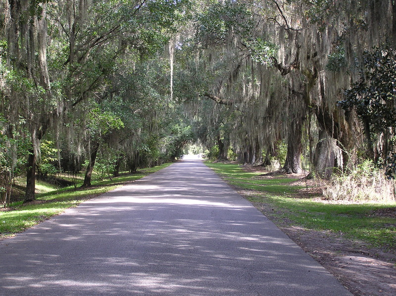 Charleston, SC: Road into Middleton Plantation