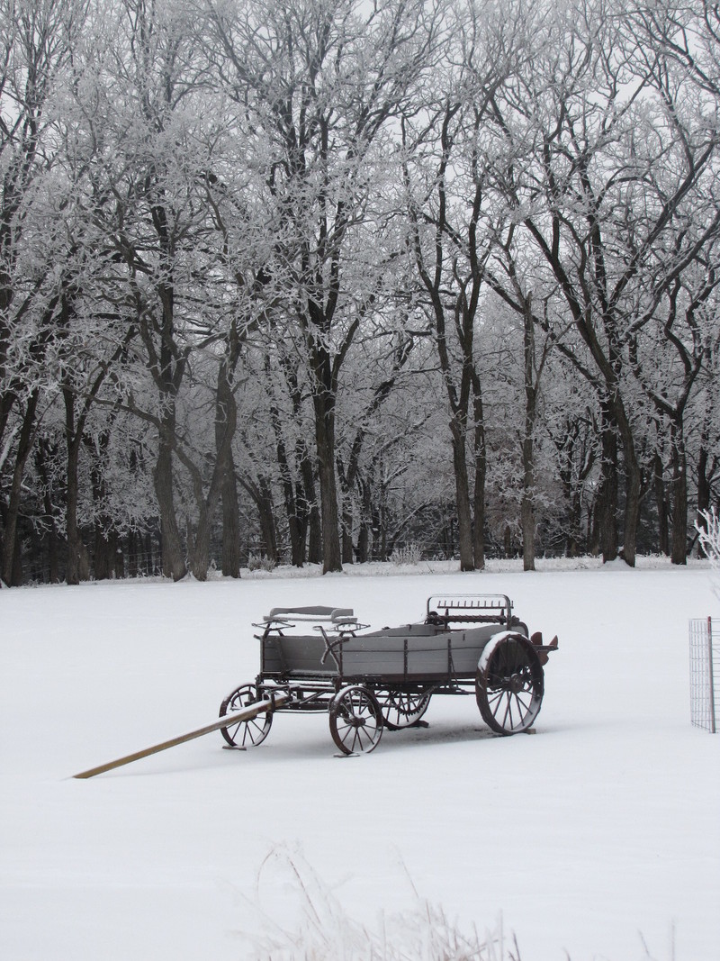 Cherokee, IA: winter