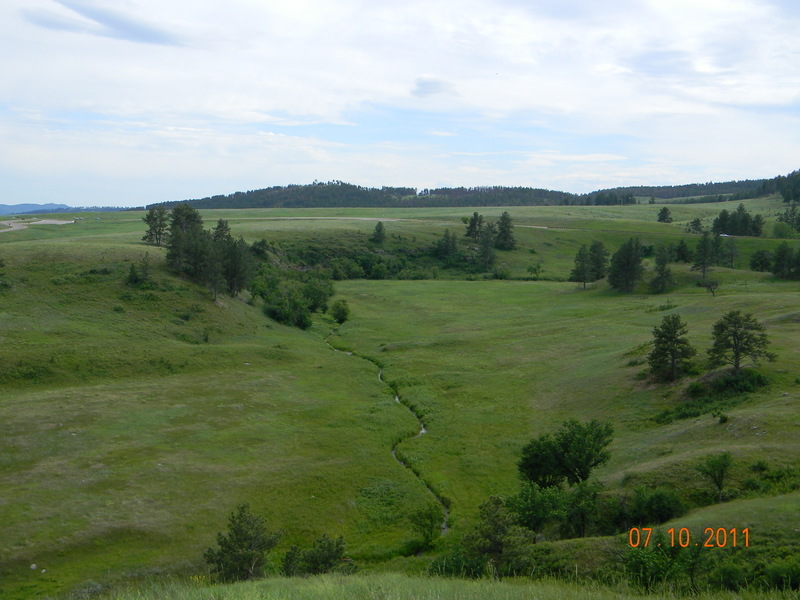 Custer, SD Custer State Park, South Dakota photo, picture, image