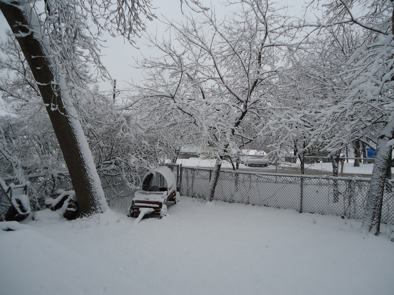 Long Lake, IL: Early Morning In February 2012