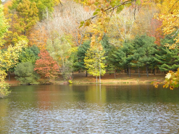 Monroe, CT: Wolfe Park in the fall