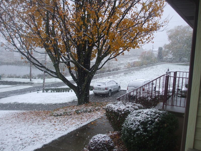 Connoquenessing, PA : Looking outside the front door of my Dad's house ...