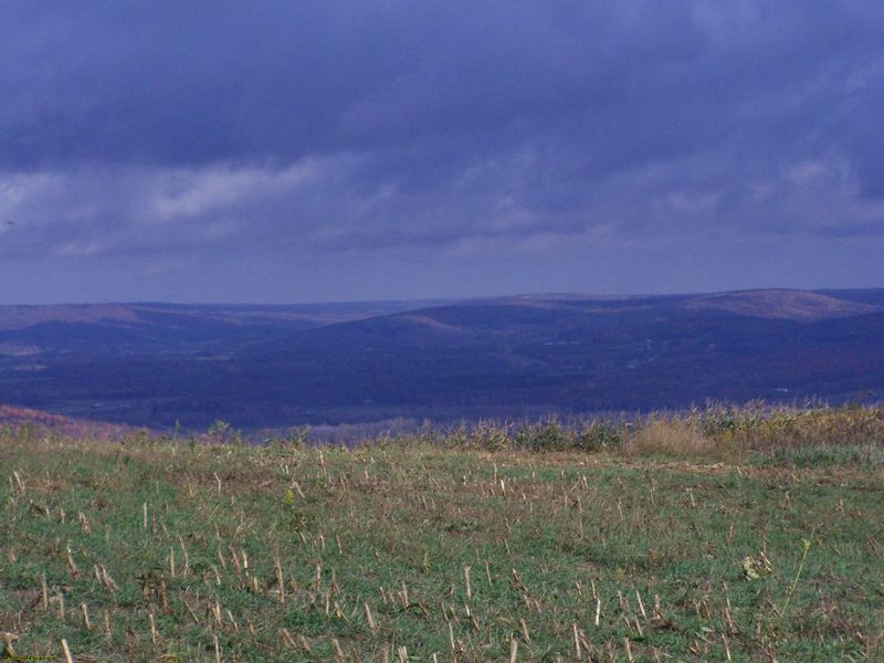 Caneadea, NY: This is a shot taken at our new "piece of peace" on Bennett Hill Road. We are from Cleveland, Ohio and have very busy lives....until we come here to relax with our dogs!