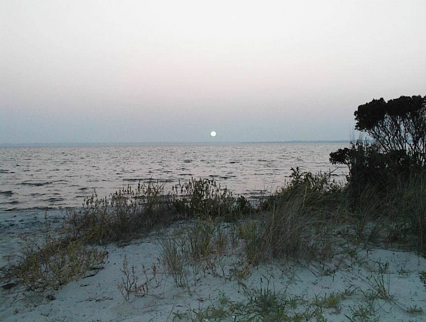 Dewey Beach, DE: Sunset over Rehoboth Bay