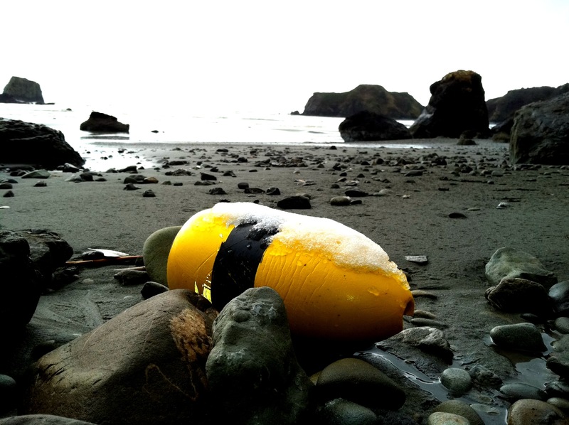 Taholah, WA: Snowy Buoy in Taholah